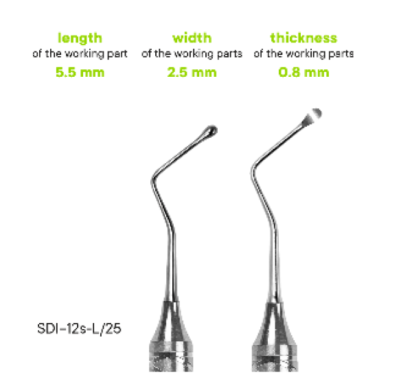 Képernyőkép 2025-08-11 115754